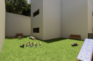 IMAGENS ÁREA EXTERNA - 6